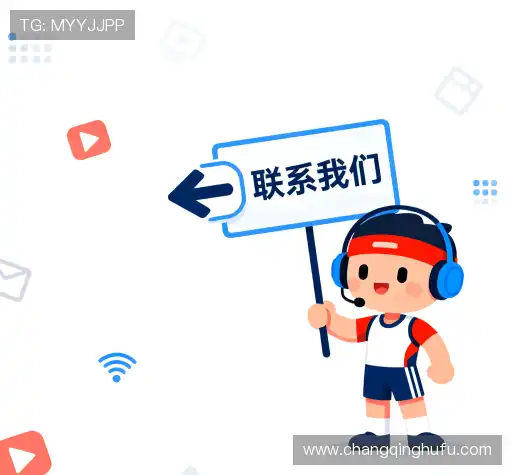项目咨询